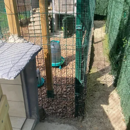 Mini-villa 1 Porto Vecchio