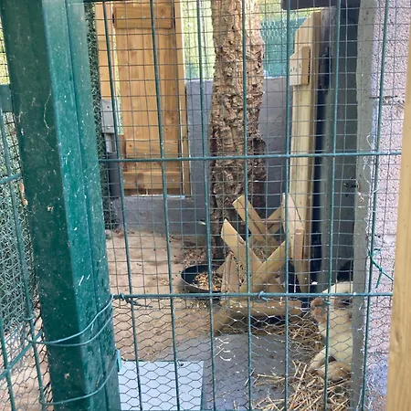 Mini-villa 1 Porto Vecchio