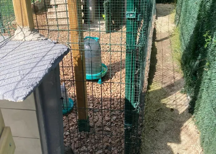 Mini-villa 1 Porto Vecchio