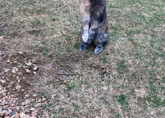 Mini-villa 1 Сasa de vacaciones *