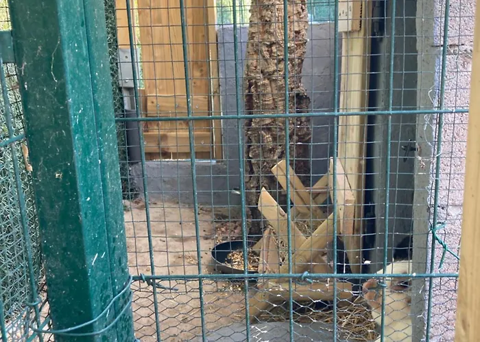 Mini-villa 1 Porto-Vecchio (Corsica)